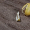 ДУБ ТУРНЕ