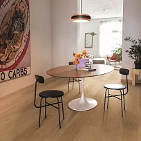 ДУБ БЕРЕГОВОЙ МЕДОВОЙ  КВАРЦ ВИНИЛ  QUICK STEP LVT  ALPHA VINYL BLOS