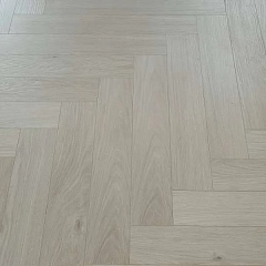 ДУБ БОСТОН