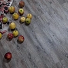ДУБ БАРИ