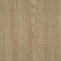 ЛИОН