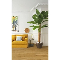 ЭКО ДЫМЧАТЫЙ  КВАРЦ ВИНИЛ  QUICK STEP LVT  ALPHA VINYL BLOOM