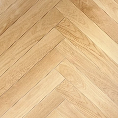 ДУБ МАДРИД
