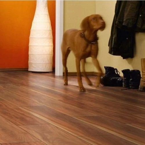 СЛИВА КАНЬОН ЛАМИНАТ  FALQUON  BLUE LINE WOOD 8 ламинат для пола