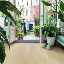 ДУБ МОЛОЧНЫЙ  КВАРЦ ВИНИЛ  QUICK STEP LVT  BLOS BASE