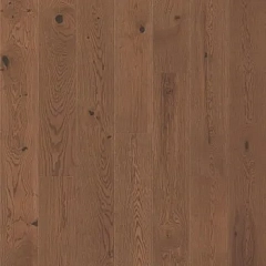 Дуб Каспий
