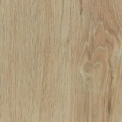 ДУБ ЛЕДИ