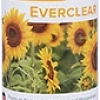 BRILLIANCE EVERCLEAR глянец
